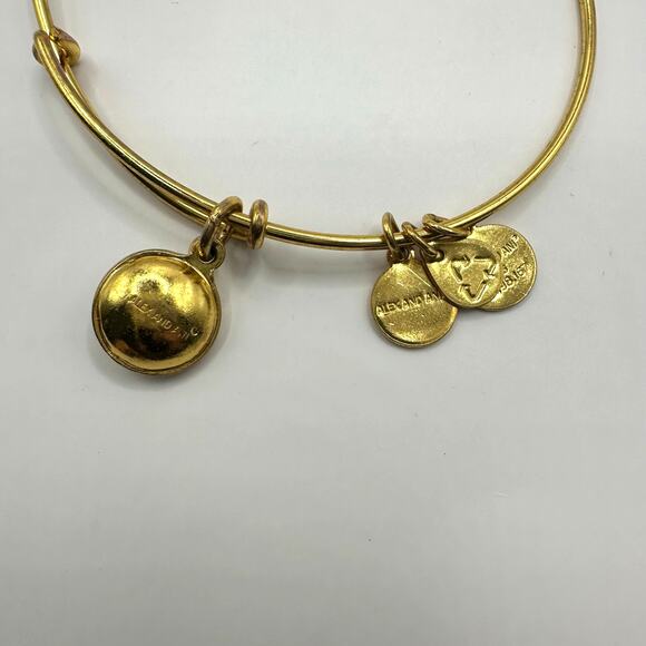 Alex And Ani April Birthstone Bangle Bracelet Shiny Gold Clear Crystal Charm - Picture 6 of 7